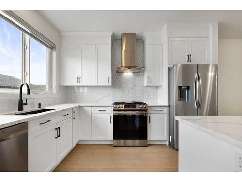 17 Homestead Crescent Ne, Calgary, AB - Indoor Photo Showing Kitchen With Upgraded Kitchen
