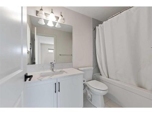 17 Homestead Crescent Ne, Calgary, AB - Indoor Photo Showing Bathroom