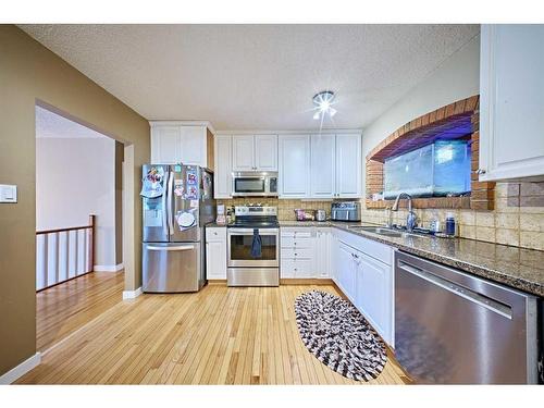 4820 49 Avenue Nw, Calgary, AB - Indoor Photo Showing Kitchen With Double Sink