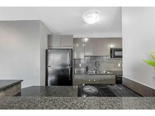 203-706 15 Avenue Sw, Calgary, AB - Indoor Photo Showing Kitchen With Double Sink