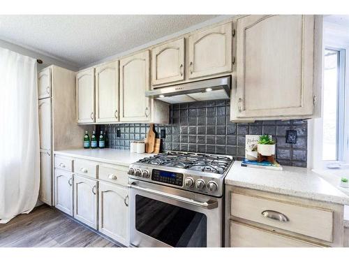 19 Dry Creek Bay, Airdrie, AB - Indoor Photo Showing Kitchen