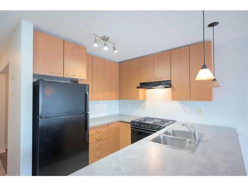 309-5115 Richard Road Sw, Calgary, AB - Indoor Photo Showing Kitchen With Double Sink