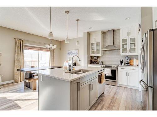 155 Kinniburgh Road, Chestermere, AB - Indoor Photo Showing Kitchen With Double Sink With Upgraded Kitchen