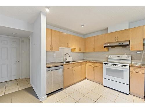 531 29 Street Nw, Calgary, AB - Indoor Photo Showing Kitchen With Double Sink