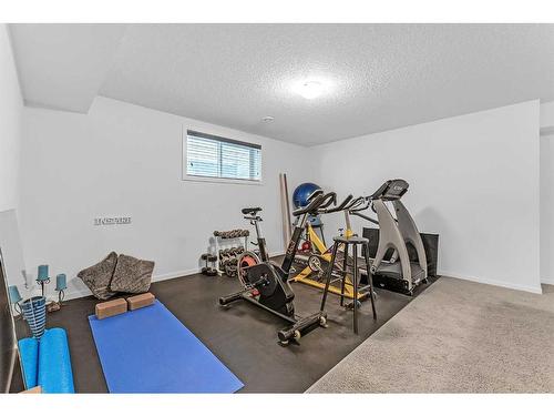 43 Walden Court Se, Calgary, AB - Indoor Photo Showing Gym Room