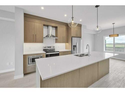 733 Carrington Boulevard, Calgary, AB - Indoor Photo Showing Kitchen With Double Sink With Upgraded Kitchen