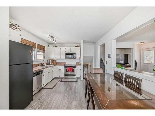195 Pinecliff Way Ne, Calgary, AB - Indoor Photo Showing Kitchen With Double Sink
