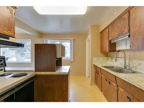 4111 19 Street Nw, Calgary, AB - Indoor Photo Showing Kitchen With Double Sink