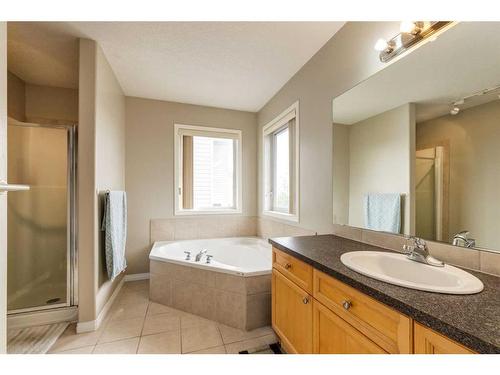 122 Royal Birch Rise Nw, Calgary, AB - Indoor Photo Showing Bathroom