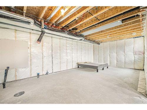 492 Muirfield Crescent, Lyalta, AB - Indoor Photo Showing Basement