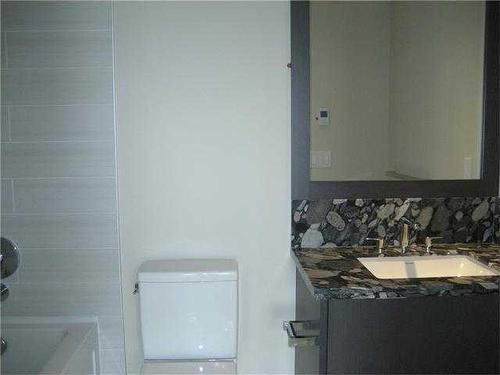 305-560 6 Avenue Se, Calgary, AB - Indoor Photo Showing Bathroom