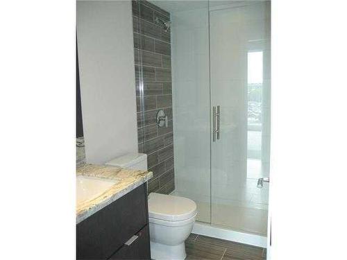 305-560 6 Avenue Se, Calgary, AB - Indoor Photo Showing Bathroom