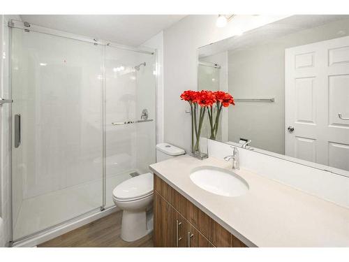 70-630 Sabrina Road Sw, Calgary, AB - Indoor Photo Showing Bathroom