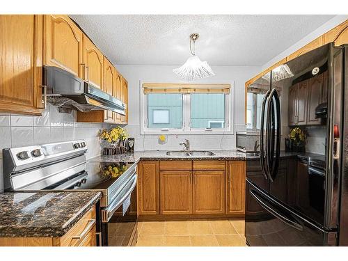 3 Bedford Circle Ne, Calgary, AB - Indoor Photo Showing Kitchen With Double Sink