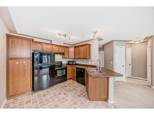 303-369 Rocky Vista Park Nw, Calgary, AB - Indoor Photo Showing Kitchen With Double Sink