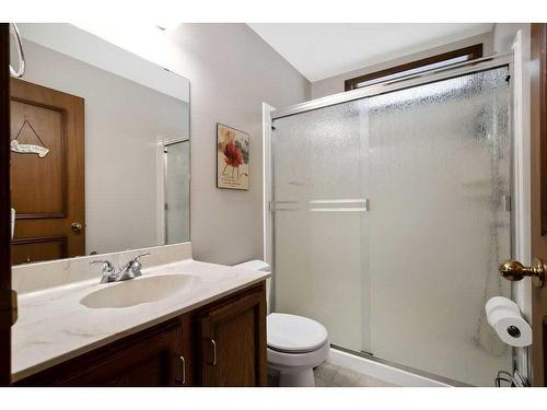 95 Macewan Meadow Crescent Nw, Calgary, AB - Indoor Photo Showing Bathroom