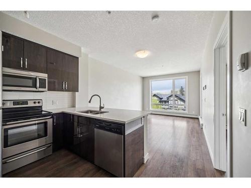 302-607 17 Avenue Nw, Calgary, AB - Indoor Photo Showing Kitchen With Stainless Steel Kitchen With Double Sink