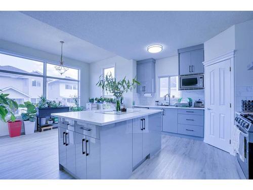 72 Coral Reef Close Ne, Calgary, AB - Indoor Photo Showing Kitchen