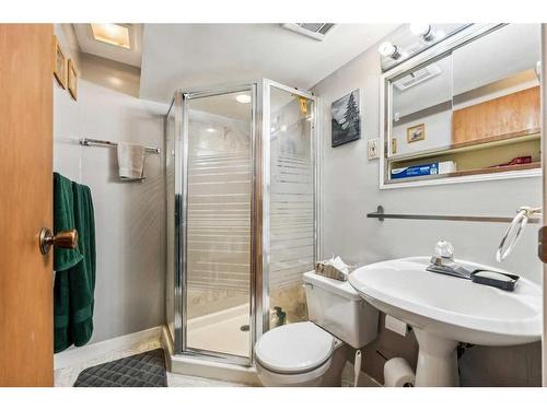 220 Abinger Crescent Ne, Calgary, AB - Indoor Photo Showing Bathroom