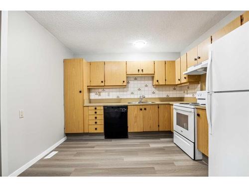 220 Abinger Crescent Ne, Calgary, AB - Indoor Photo Showing Kitchen With Double Sink