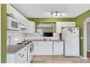301 Tarington Close Ne, Calgary, AB  - Indoor Photo Showing Kitchen With Double Sink 