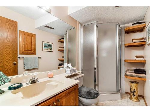 119 Gladstone Gardens Sw, Calgary, AB - Indoor Photo Showing Bathroom