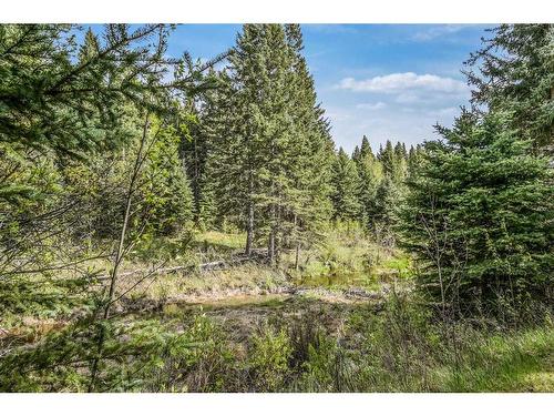 391043 Range Road 5-0, Rural Clearwater County, AB - Outdoor