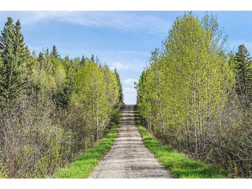 391043 Range Road 5-0, Rural Clearwater County, AB - Outdoor With View