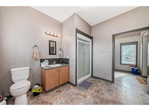 34156 Range Road 270, Rural Red Deer County, AB - Indoor Photo Showing Bathroom