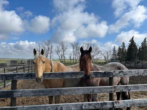 34156 Range Road 270, Rural Red Deer County, AB - Outdoor With View