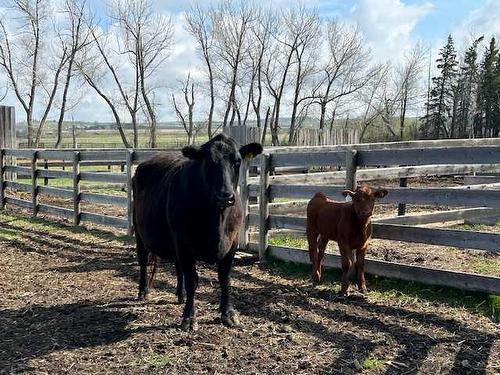 34156 Range Road 270, Rural Red Deer County, AB - Outdoor With View