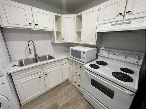 2816 18 Street Sw, Calgary, AB - Indoor Photo Showing Kitchen With Double Sink