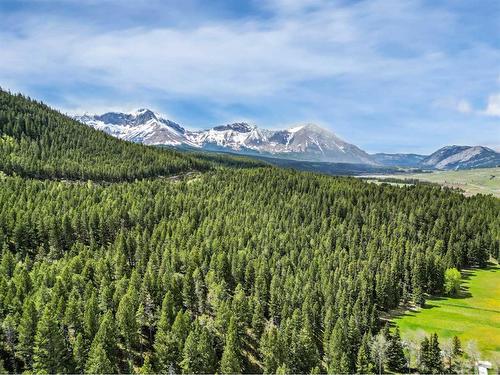 1405 61 Street, Coleman, AB - Outdoor With View