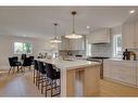 223 Parkwood Close Se, Calgary, AB  - Indoor Photo Showing Kitchen With Upgraded Kitchen 