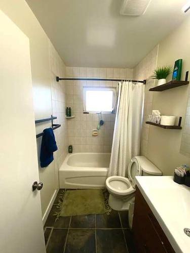 7315 Bowness Road Nw, Calgary, AB - Indoor Photo Showing Bathroom