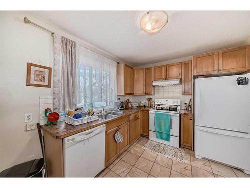 1316 38 Street Se, Calgary, AB - Indoor Photo Showing Kitchen With Double Sink