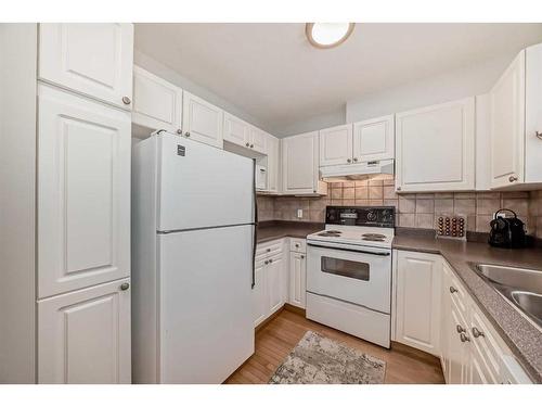 2301 14 Street Sw, Calgary, AB - Indoor Photo Showing Kitchen With Double Sink