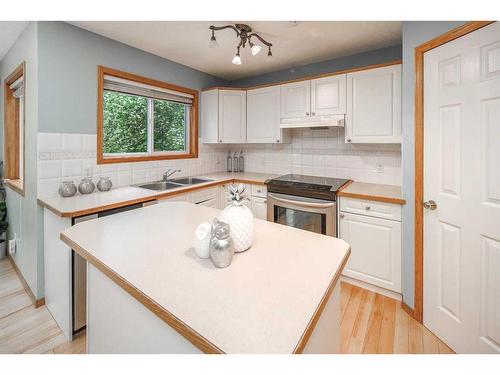 14237 Evergreen View Sw, Calgary, AB - Indoor Photo Showing Kitchen With Double Sink