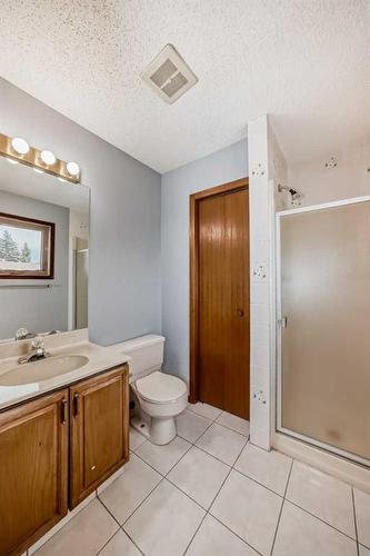 20 Bedwood Rise Ne, Calgary, AB - Indoor Photo Showing Bathroom