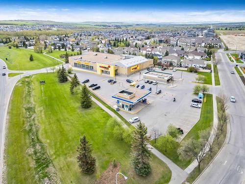 31 D'Arcy Boulevard, Okotoks, AB - Outdoor With View