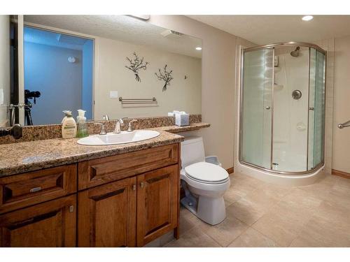 76 Lake Huron Place Se, Calgary, AB - Indoor Photo Showing Bathroom