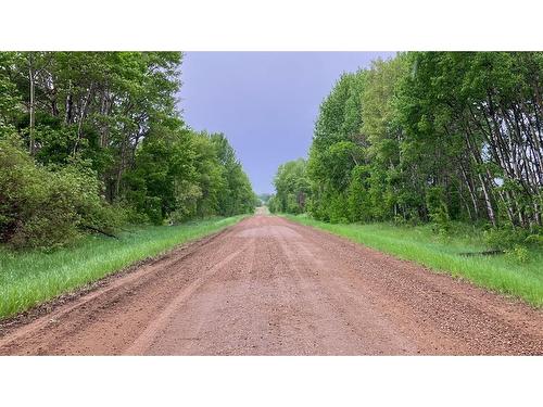 173 43336 Range Road 215, Rural Camrose County, AB 