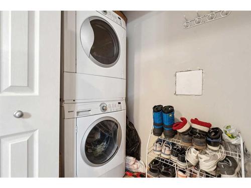 113-92 Saddletree Court Ne, Calgary, AB - Indoor Photo Showing Laundry Room