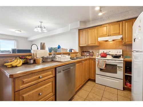 113-92 Saddletree Court Ne, Calgary, AB - Indoor Photo Showing Kitchen With Double Sink