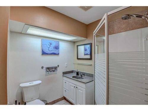 48 Chapalina Manor Se, Calgary, AB - Indoor Photo Showing Bathroom