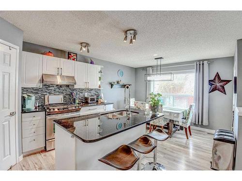 48 Chapalina Manor Se, Calgary, AB - Indoor Photo Showing Kitchen With Double Sink