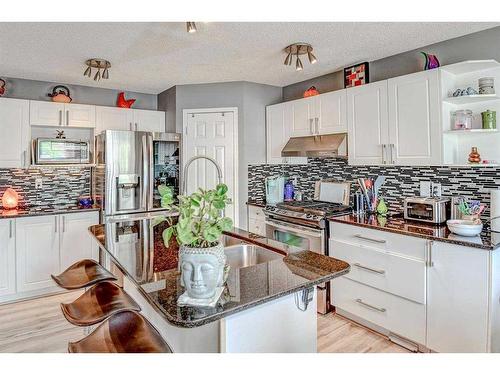 48 Chapalina Manor Se, Calgary, AB - Indoor Photo Showing Kitchen With Upgraded Kitchen