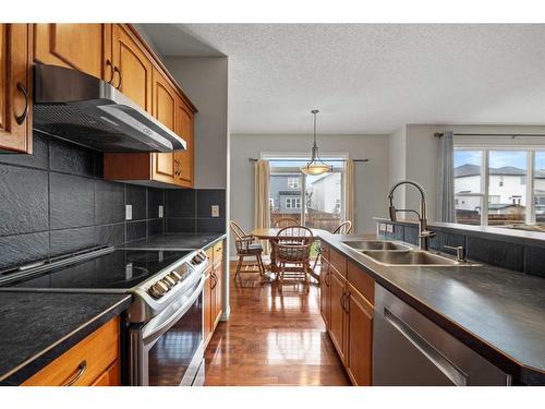 976 Copperfield Boulevard Se, Calgary, AB - Indoor Photo Showing Kitchen With Double Sink