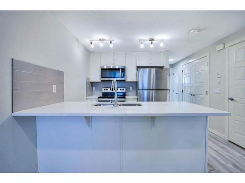 20569 Seton Way Se, Calgary, AB - Indoor Photo Showing Kitchen With Upgraded Kitchen