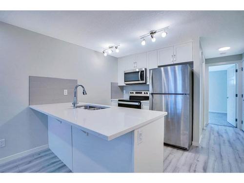 20569 Seton Way Se, Calgary, AB - Indoor Photo Showing Kitchen With Double Sink With Upgraded Kitchen